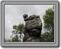 wielblad